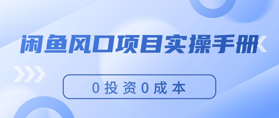 闲鱼风口项目实操手册，0投资0成本，让你做到，月入过万，新手可做跨境课程-外贸教程-精品网课-电商运营课库课堂
