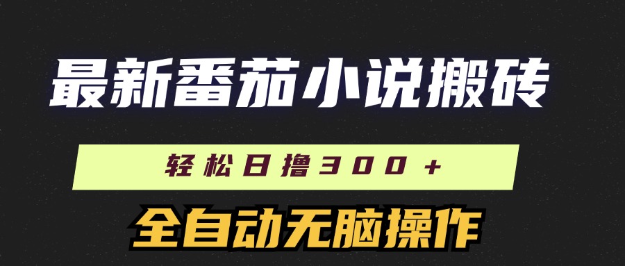 最新番茄小说搬砖，日撸300＋！全自动操作，可矩阵放大跨境课程-外贸教程-精品网课-电商运营课库课堂