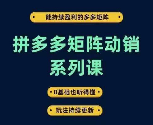 拼多多矩阵动销系列课，能持续盈利的多多矩阵，0基础也听得懂，玩法持续更新跨境课程-外贸教程-精品网课-电商运营课库课堂