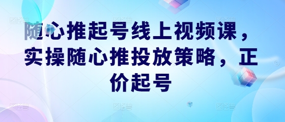 随心推起号线上视频课，实操随心推投放策略，正价起号跨境课程-外贸教程-精品网课-电商运营课库课堂