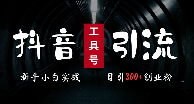 2024最新抖音工具号引流玩法，高效日引300+创业粉，当天变现5k，小白也可成为实战高手跨境课程-外贸教程-精品网课-电商运营课库课堂