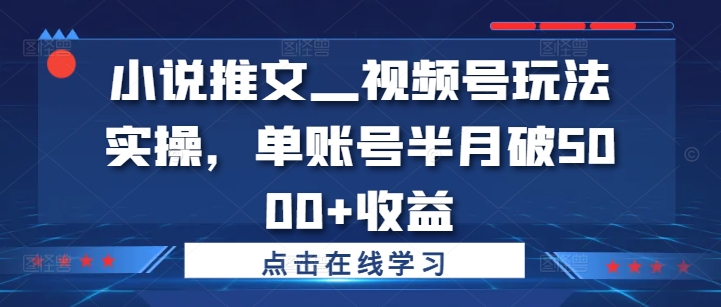 小说推文—视频号玩法实操，单账号半月破5000+收益跨境课程-外贸教程-精品网课-电商运营课库课堂