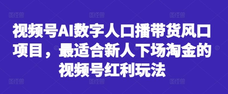 视频号AI数字人口播带货风口项目，最适合新人下场淘金的视频号红利玩法跨境课程-外贸教程-精品网课-电商运营课库课堂