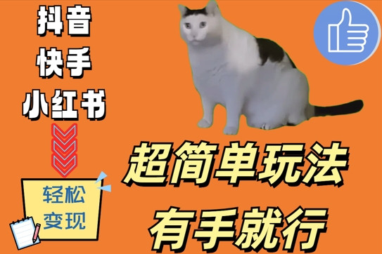 超简单玩法，有手就行，靠猫咪视频日入500+跨境课程-外贸教程-精品网课-电商运营课库课堂