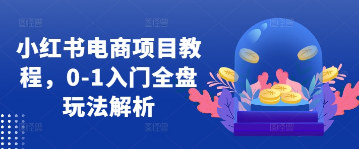 小红书电商项目教程，0-1入门全盘玩法解析跨境课程-外贸教程-精品网课-电商运营课库课堂