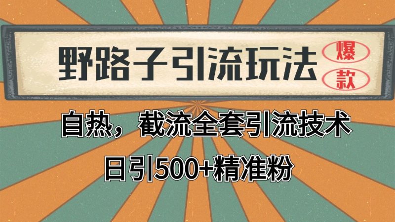 抖音小红书视频号全平台引流打法，全自动引流日引2000+精准客户跨境课程-外贸教程-精品网课-电商运营课库课堂