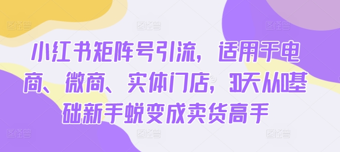 小红书矩阵号引流，适用于电商、微商、实体门店，30天从0基础新手蜕变成卖货高手跨境课程-外贸教程-精品网课-电商运营课库课堂