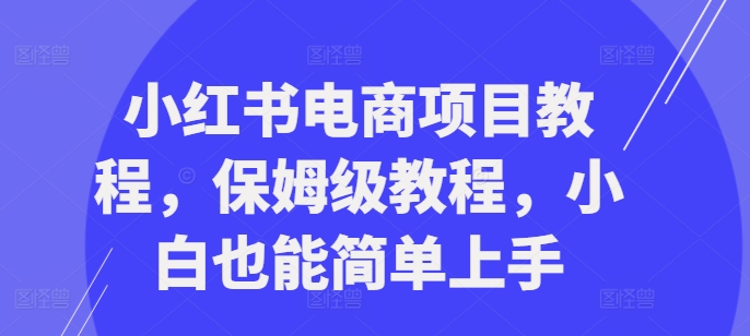小红书电商项目教程，保姆级教程，小白也能简单上手跨境课程-外贸教程-精品网课-电商运营课库课堂
