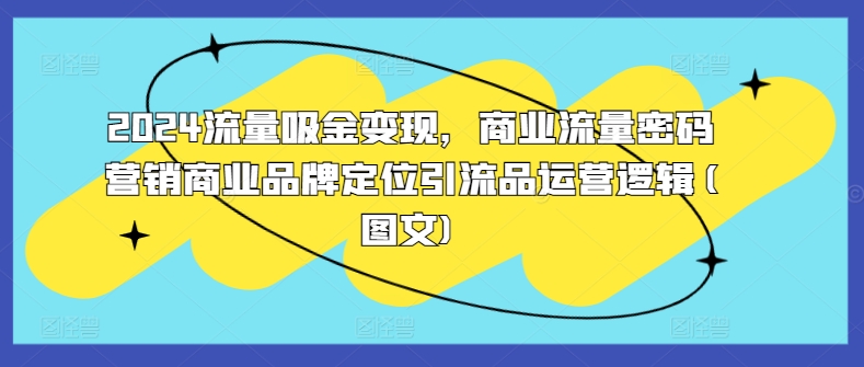 2024流量吸金变现，商业流量密码营销商业品牌定位引流品运营逻辑(图文)跨境课程-外贸教程-精品网课-电商运营课库课堂