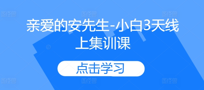 亲爱的安先生-小白3天线上集训课跨境课程-外贸教程-精品网课-电商运营课库课堂