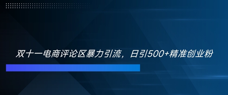 双十一电商评论区暴力引流，日引500+精准创业粉跨境课程-外贸教程-精品网课-电商运营课库课堂
