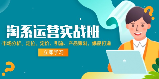 淘系运营实战班：市场分析、定位、定价、引流、产品策划，爆品打造跨境课程-外贸教程-精品网课-电商运营课库课堂