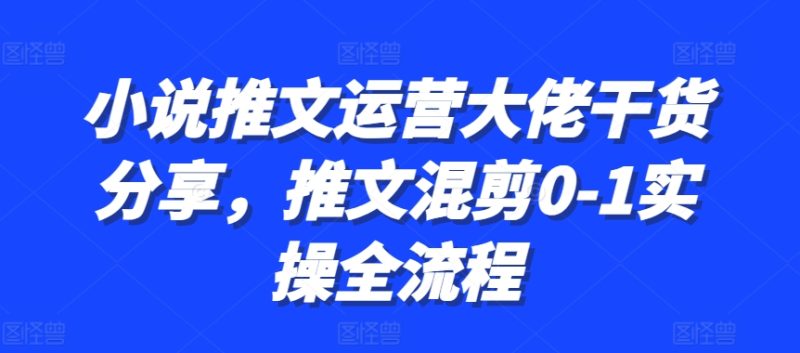 小说推文运营大佬干货分享,推文混剪0-1实操全流程跨境课程-外贸教程-精品网课-电商运营课库课堂
