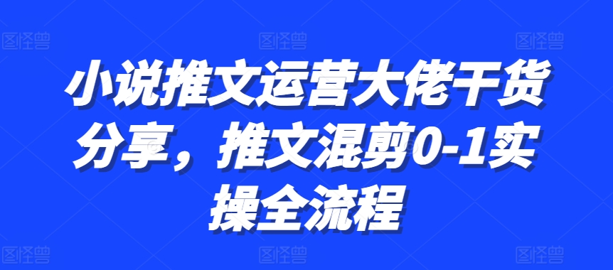 小说推文运营大佬干货分享，推文混剪0-1实操全流程跨境课程-外贸教程-精品网课-电商运营课库课堂