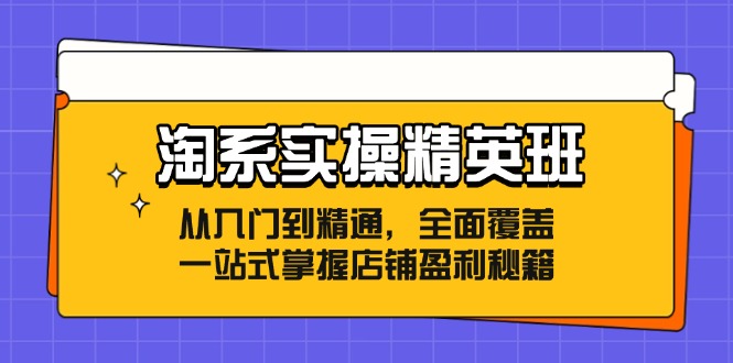 淘系实操精英班：从入门到精通，全面覆盖，一站式掌握店铺盈利秘籍跨境课程-外贸教程-精品网课-电商运营课库课堂