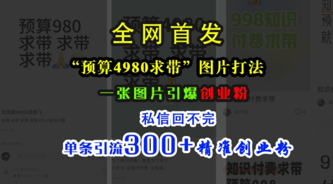 小红书“预算4980带我飞”图片打法，一张图片引爆创业粉，私信回不完，单条引流300+精准创业粉跨境课程-外贸教程-精品网课-电商运营课库课堂
