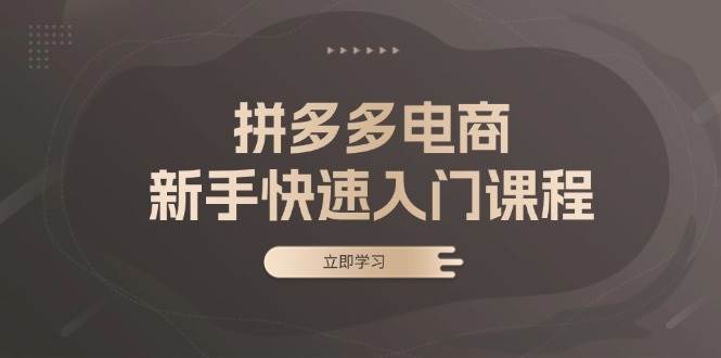 拼多多电商新手快速入门课程：涵盖基础、实战与选款，助力小白轻松上手跨境课程-外贸教程-精品网课-电商运营课库课堂