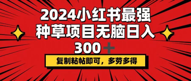 2024小红书最强种草项目，无脑日入300+，复制粘帖即可，多劳多得跨境课程-外贸教程-精品网课-电商运营课库课堂