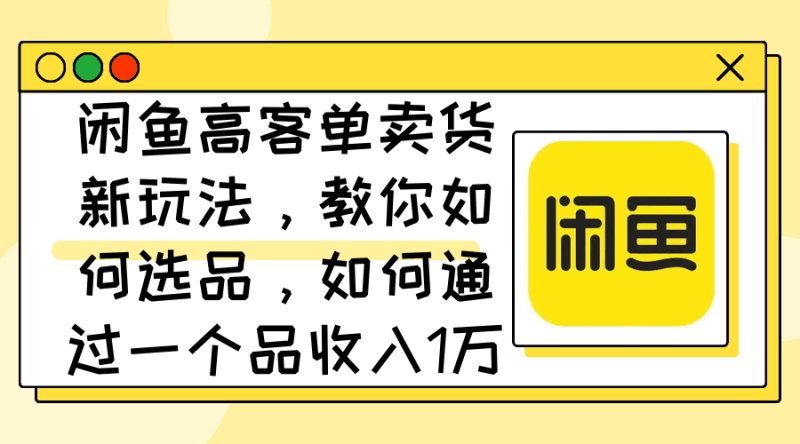 闲鱼高客单卖货新玩法,教你如何选品,如何通过一个品收入1万+跨境课程-外贸教程-精品网课-电商运营课库课堂