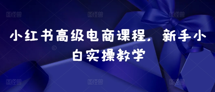 小红书高级电商课程，新手小白实操教学跨境课程-外贸教程-精品网课-电商运营课库课堂