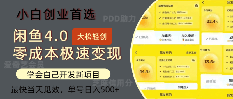 闲鱼0成本极速变现项目，多种变现方式 单号日入500+最新玩法跨境课程-外贸教程-精品网课-电商运营课库课堂