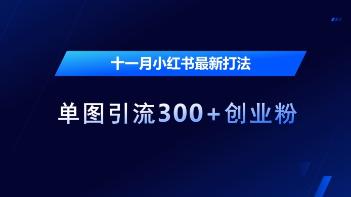 十一月小红书最新打法，单图引流300+创业粉跨境课程-外贸教程-精品网课-电商运营课库课堂
