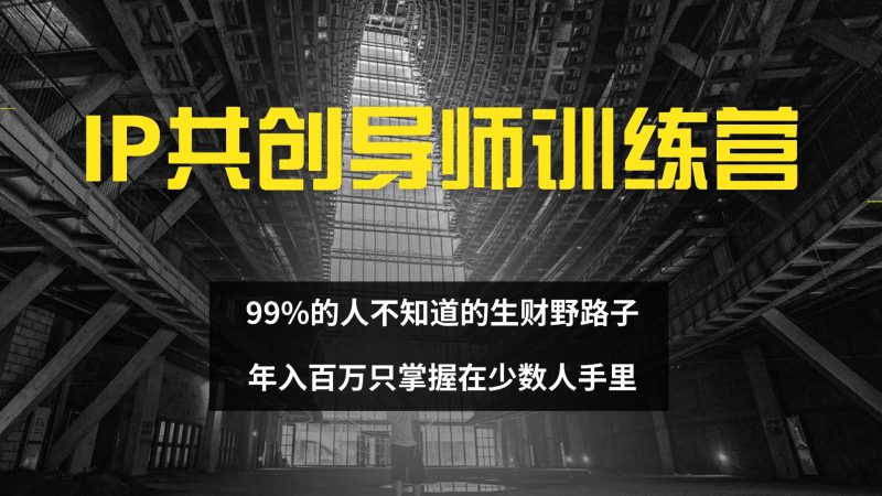 IP共创导师训练营 99%的人不知道的生财野路子 只掌握在少数人手里跨境课程-外贸教程-精品网课-电商运营课库课堂