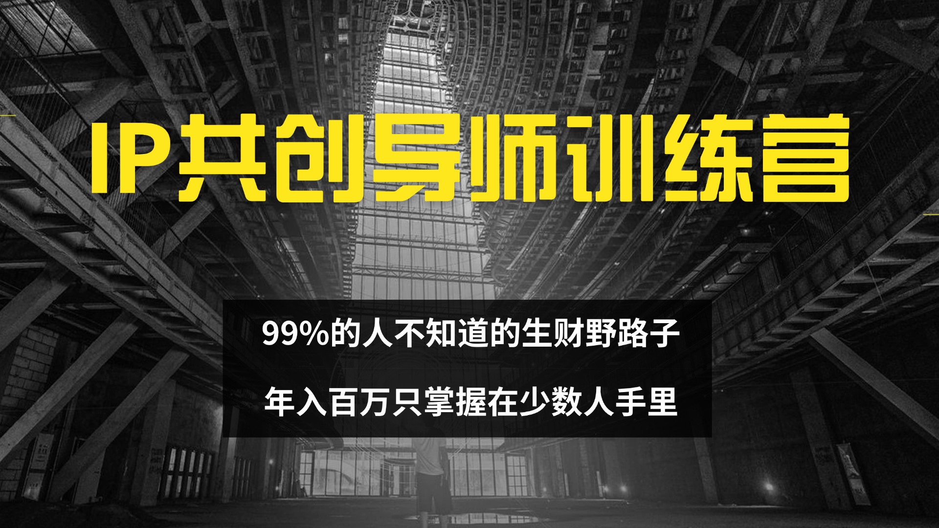 IP共创导师训练营 99%的人不知道的生财野路子 只掌握在少数人手里跨境课程-外贸教程-精品网课-电商运营课库课堂