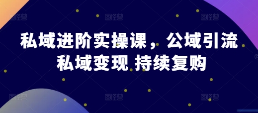 私域进阶实操课，公域引流 私域变现 持续复购跨境课程-外贸教程-精品网课-电商运营课库课堂