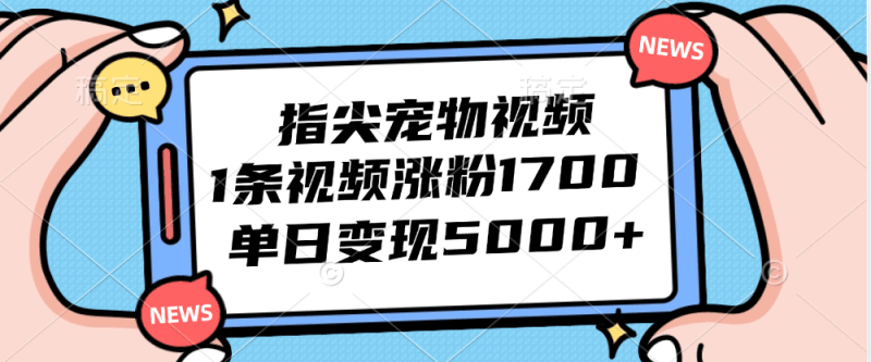 指尖宠物视频，1条视频涨粉1700，单日变现5000+跨境课程-外贸教程-精品网课-电商运营课库课堂