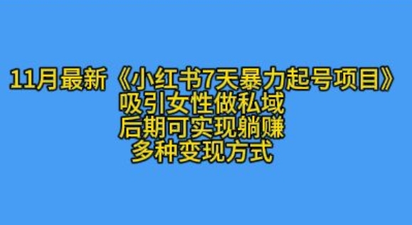 K总部落11月最新小红书7天暴力起号项目，吸引女性做私域跨境课程-外贸教程-精品网课-电商运营课库课堂