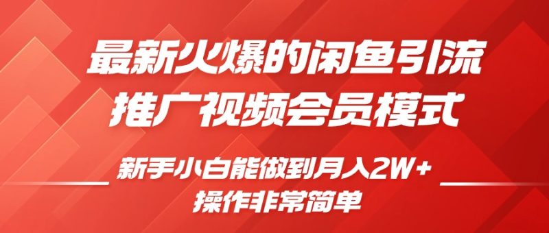 闲鱼引流推广影视会员,0成本就可以操作,新手小白月入过W+跨境课程-外贸教程-精品网课-电商运营课库课堂