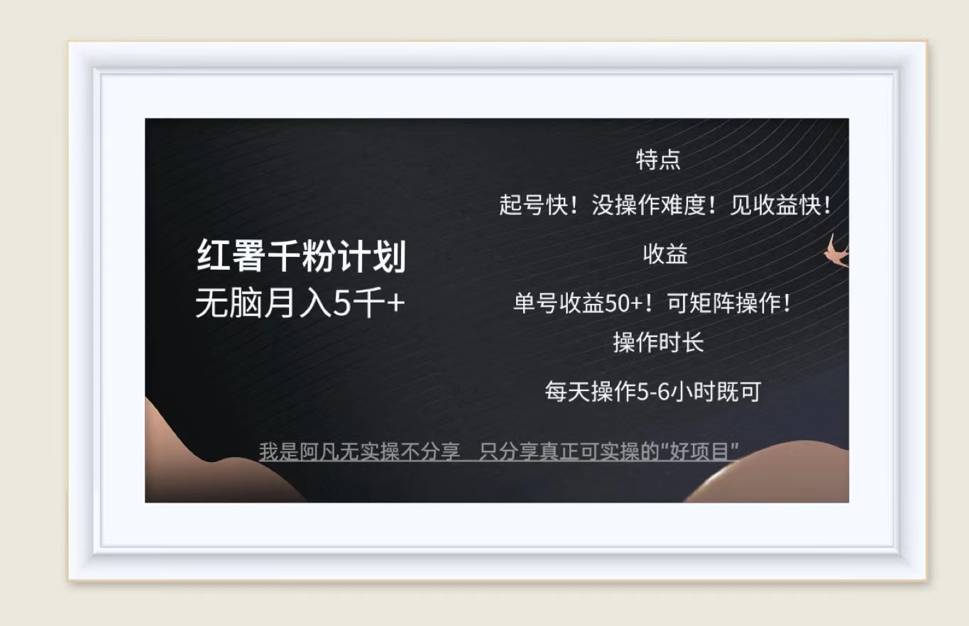 红薯千粉计划无脑月入5千+！既做既赚！跨境课程-外贸教程-精品网课-电商运营课库课堂