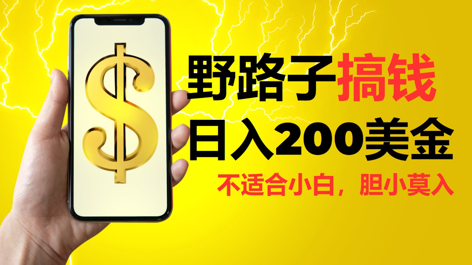 挂机野路子搞钱，日入200美金，路子很野，小白莫入跨境课程-外贸教程-精品网课-电商运营课库课堂