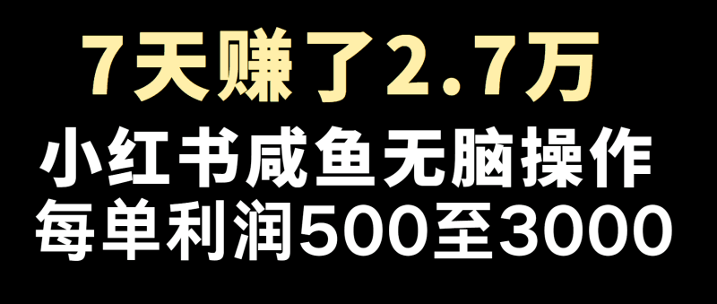 冷门暴利，超级简单的项目0成本玩法，每单在500至4000的利润跨境课程-外贸教程-精品网课-电商运营课库课堂