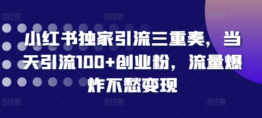 小红书独家引流三重奏，当天引流100+创业粉，流量爆炸不愁变现跨境课程-外贸教程-精品网课-电商运营课库课堂