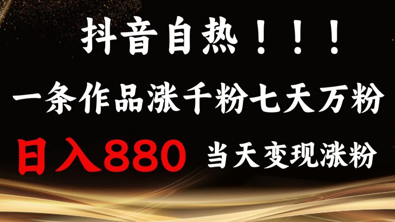 抖音小红书自热，一条作品1000粉，7天万粉，单日变现880收益跨境课程-外贸教程-精品网课-电商运营课库课堂