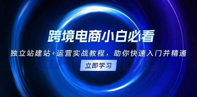 跨境电商小白必看！独立站建站+运营实战教程，助你快速入门并精通跨境课程-外贸教程-精品网课-电商运营课库课堂