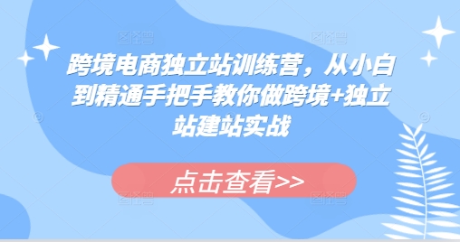 跨境电商独立站训练营，从小白到精通手把手教你做跨境+独立站建站实战跨境课程-外贸教程-精品网课-电商运营课库课堂