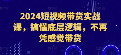 2024短视频带货实战课，搞懂底层逻辑，不再凭感觉带货跨境课程-外贸教程-精品网课-电商运营课库课堂