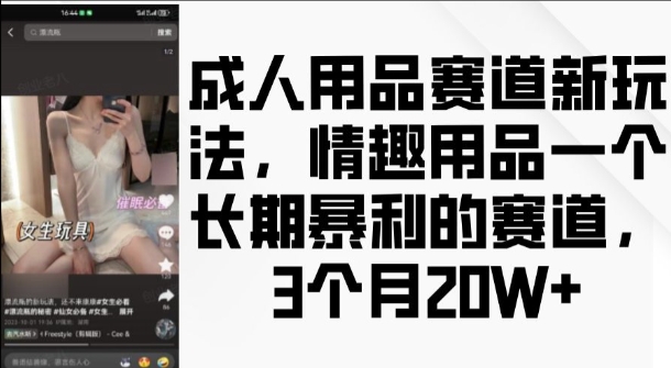 成人用品赛道新玩法，情趣用品一个长期暴利的赛道，3个月收益20个跨境课程-外贸教程-精品网课-电商运营课库课堂