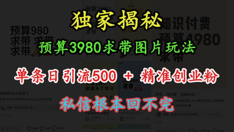 预算3980求带 图片玩法，单条日引流500+精准创业粉，私信根本回不完跨境课程-外贸教程-精品网课-电商运营课库课堂