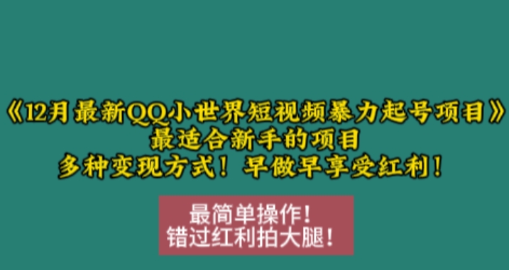 12月最新QQ小世界短视频暴力起号项目，最适合新手的项目，多种变现方式跨境课程-外贸教程-精品网课-电商运营课库课堂