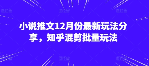 小说推文12月份最新玩法分享，知乎混剪批量玩法跨境课程-外贸教程-精品网课-电商运营课库课堂