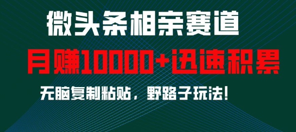 微头条相亲赛道，迅速积累，无脑复制粘贴，野路子玩法，月入1w跨境课程-外贸教程-精品网课-电商运营课库课堂