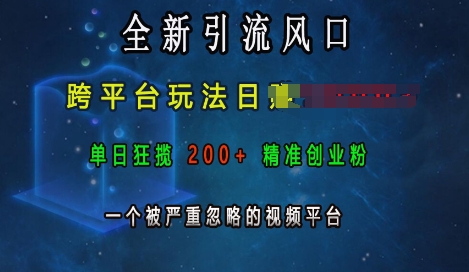 全新引流风口，跨平台玩法日入上k，单日狂揽200+精准创业粉，一个被严重忽略的视频平台跨境课程-外贸教程-精品网课-电商运营课库课堂