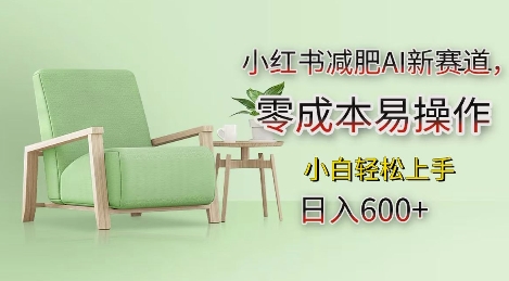 小红书减肥AI新赛道，零成本易操作，日入多张，小白轻松上手跨境课程-外贸教程-精品网课-电商运营课库课堂