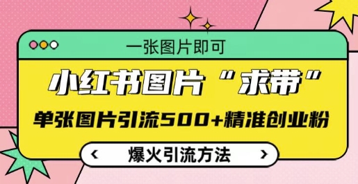 小红书图片‘求带’爆火引流法，单张图片引流500+精准创业粉跨境课程-外贸教程-精品网课-电商运营课库课堂