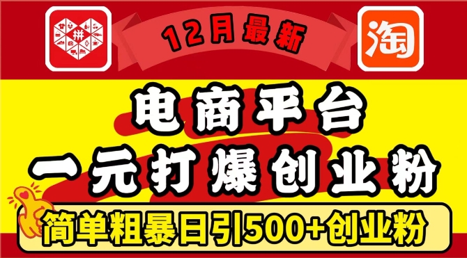 12月最新：电商平台1元打爆创业粉，简单粗暴日引500+精准创业粉，轻松月入过W跨境课程-外贸教程-精品网课-电商运营课库课堂