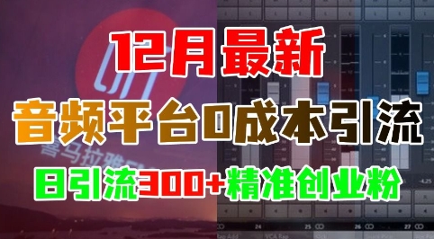 12月最新：音频平台0成本引流，日引流300+精准创业粉跨境课程-外贸教程-精品网课-电商运营课库课堂